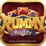 Rummy Buddy